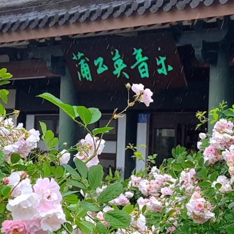 邳州蒲公英音乐