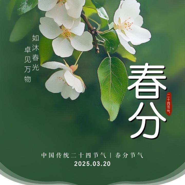 明星