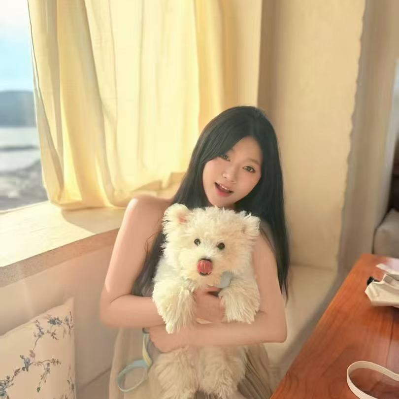 业飞新能源莉莉