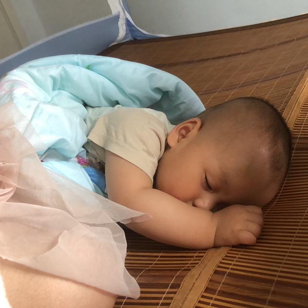 小小八月虎呀