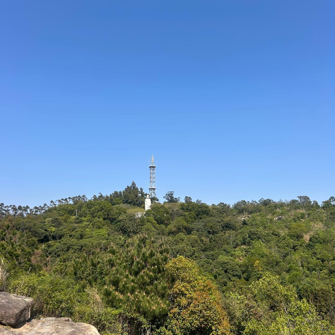 沈非凡