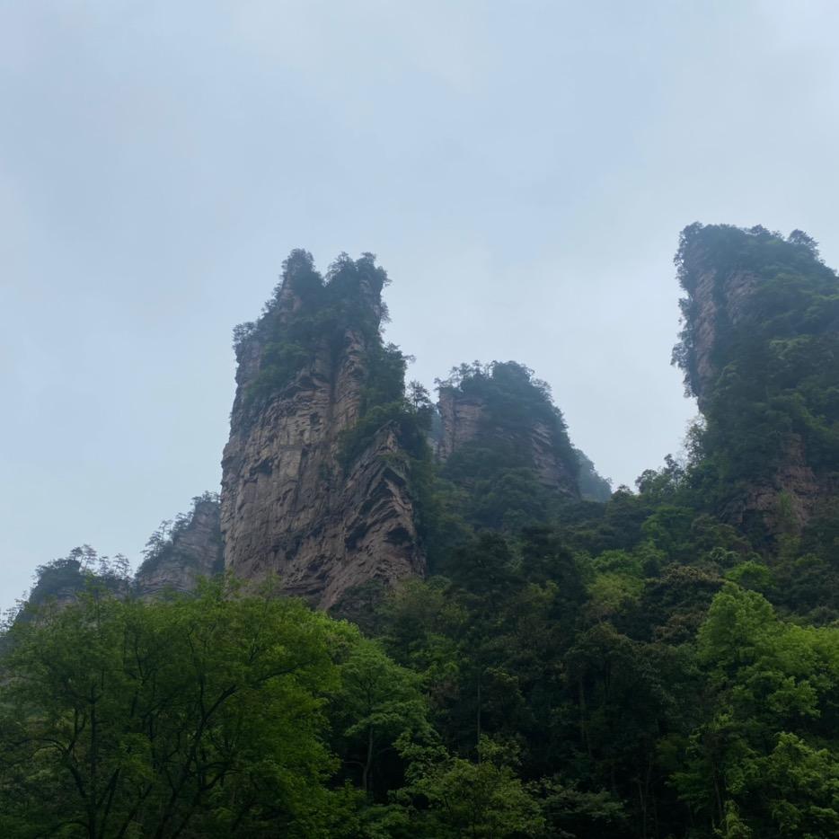 毋庸置疑