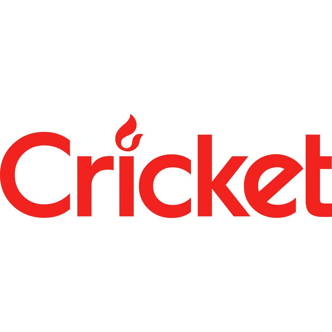 cricket