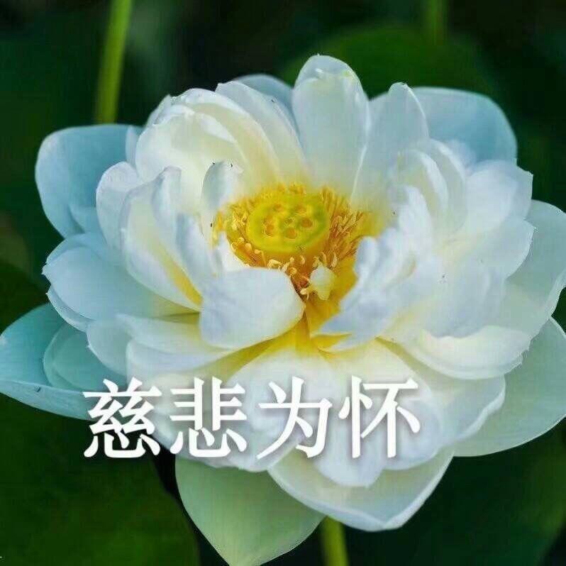 是错