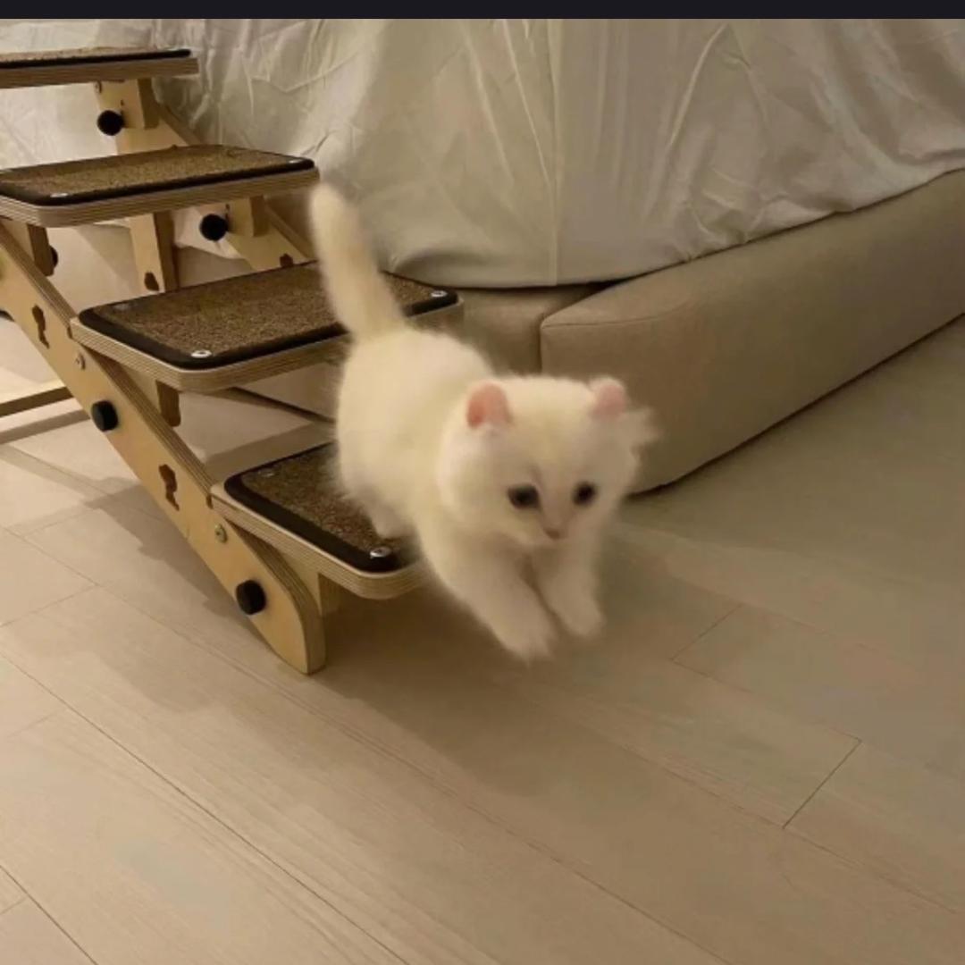 吃手手