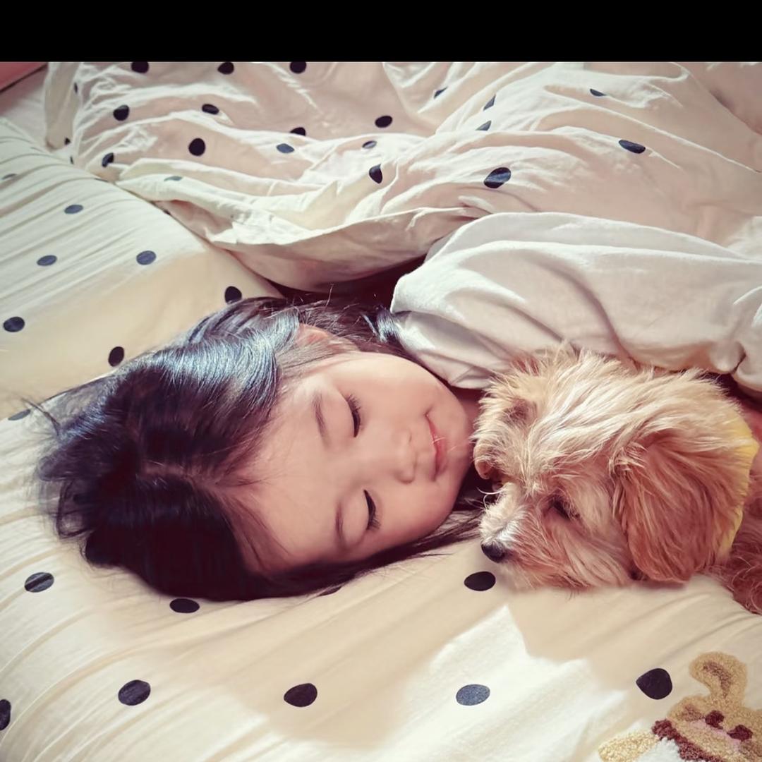 SHU -XX