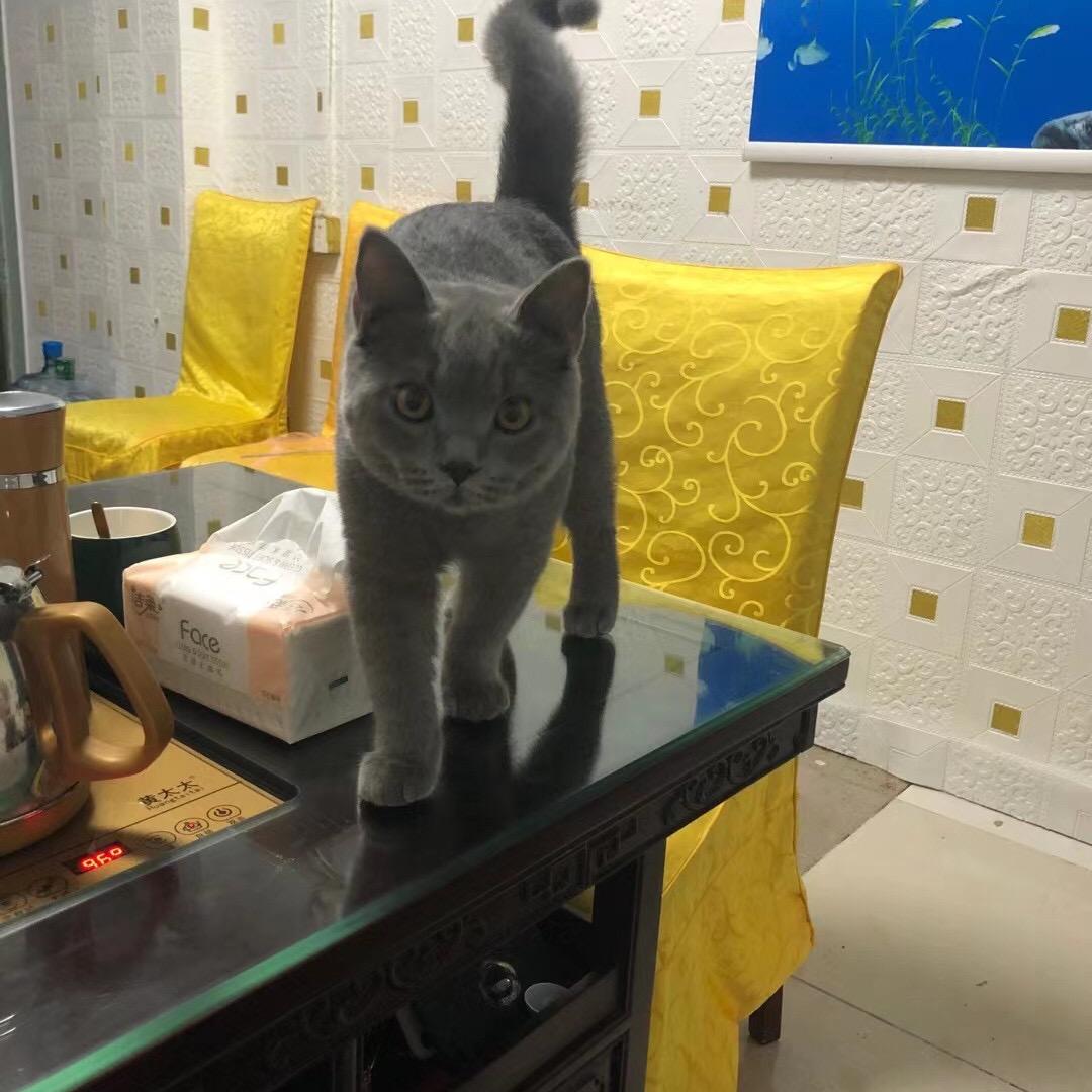 杰