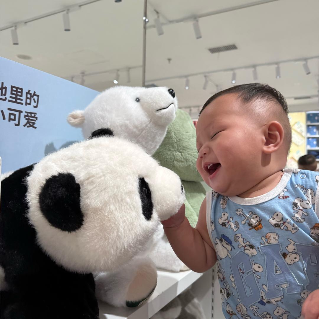 十七。