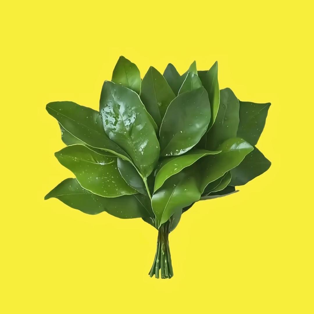 奶茶不加冰🧊