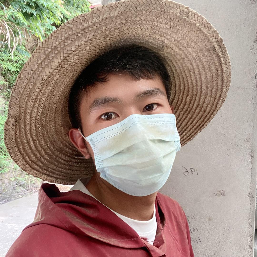 金寨将将好茶叶产地店