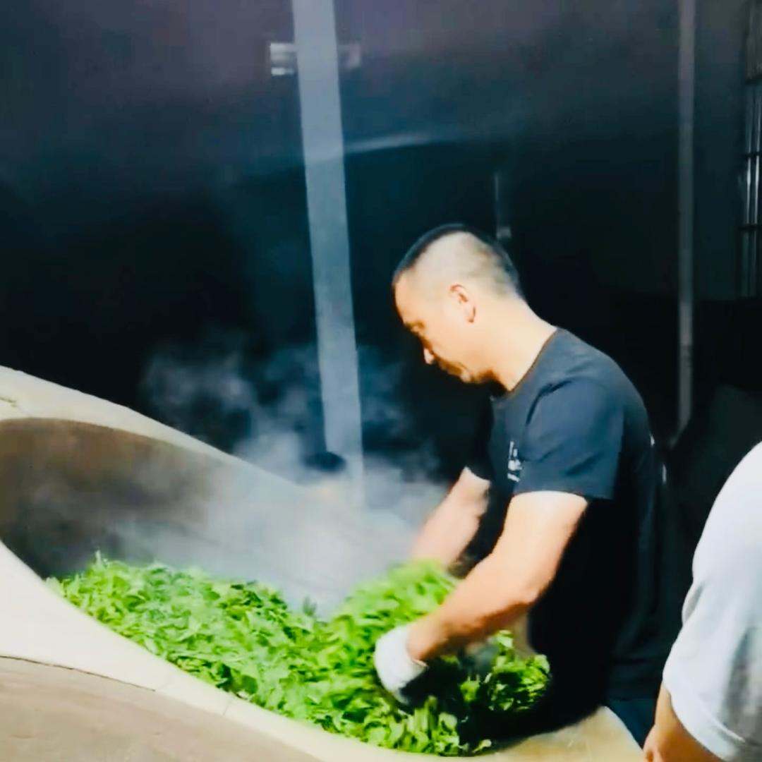 天地宝古茶创始人