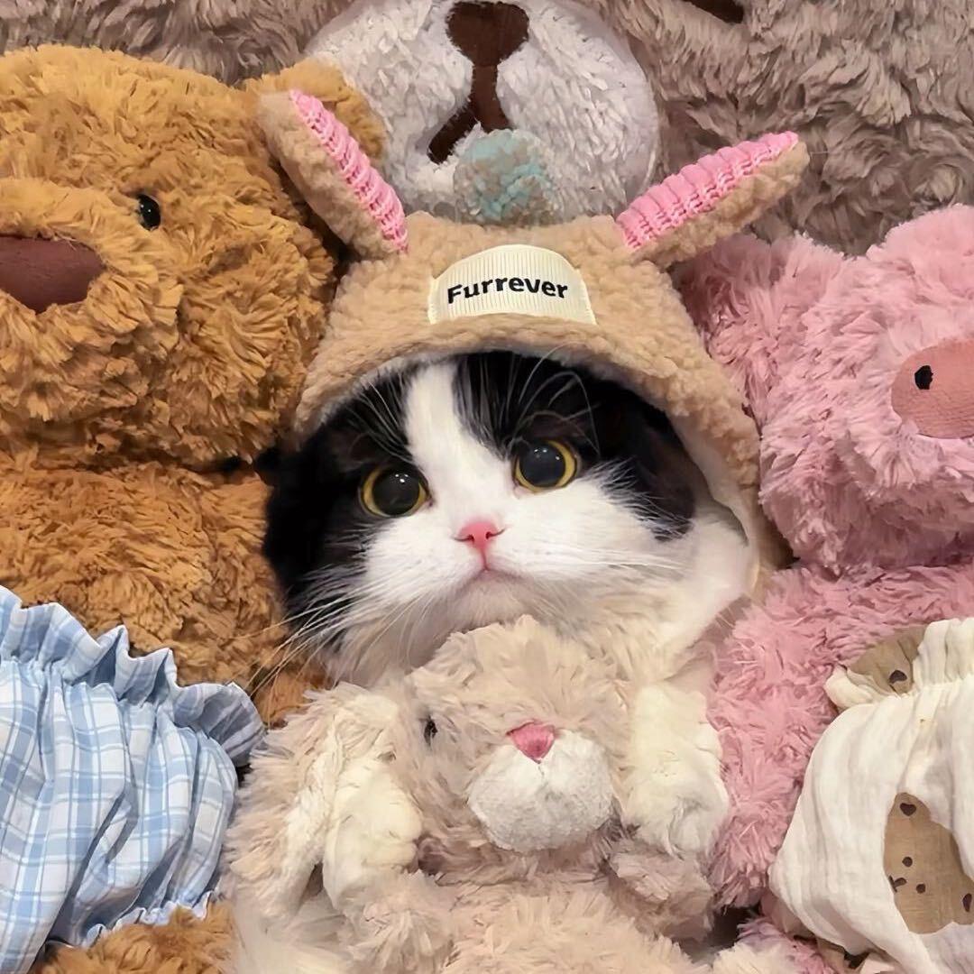 温泉讨厌虫子🐛