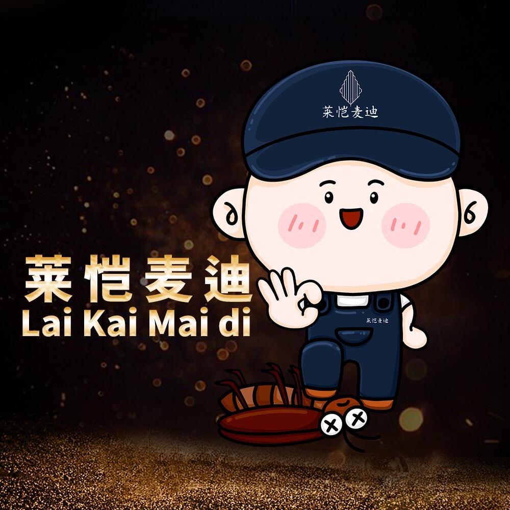 莱恺麦迪个人护理旗舰店