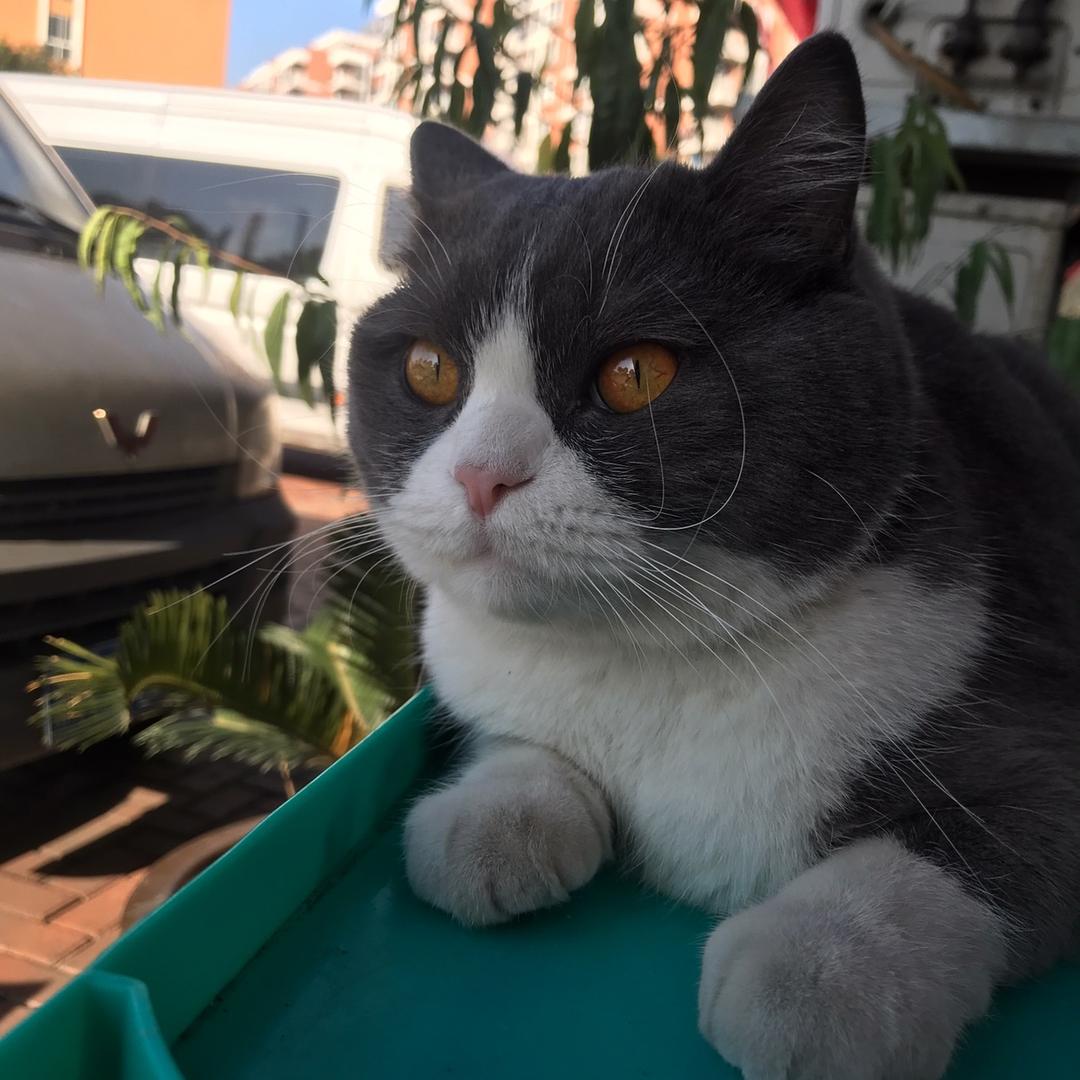 时尚好物精选小铺a4g