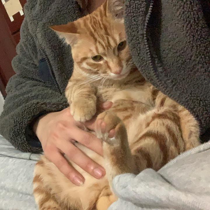 李富贵和许如意