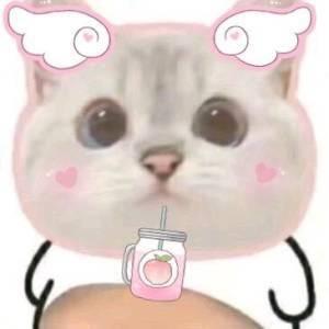故居qaq