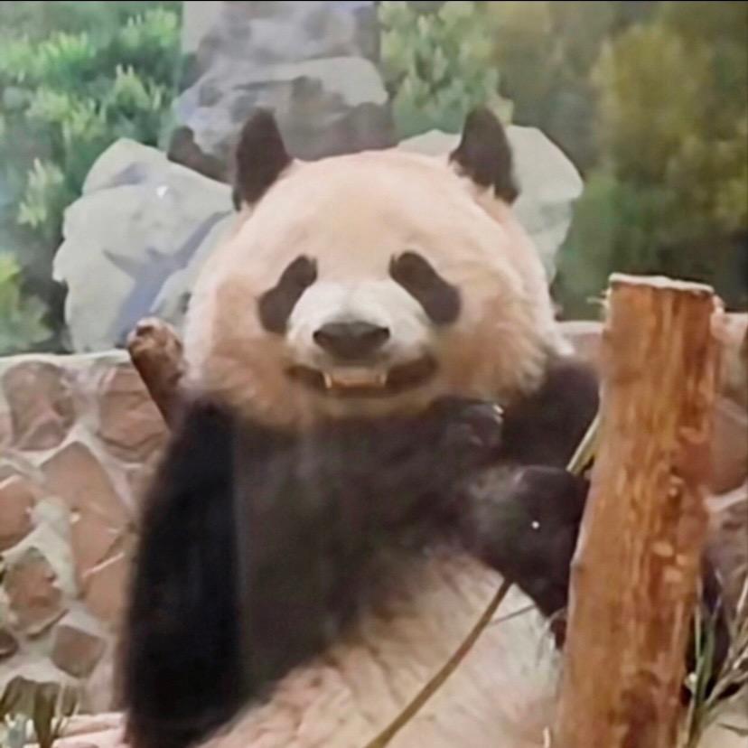 邪王真眼