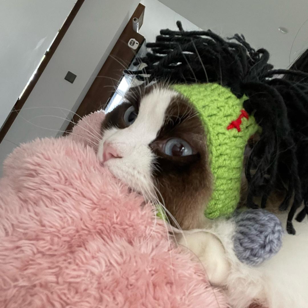 大菠萝(ㅇㅅㅇ❀)