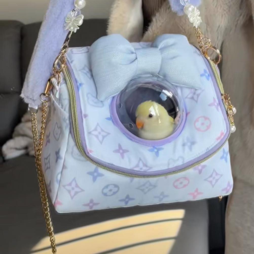 手养鹦鹉培训