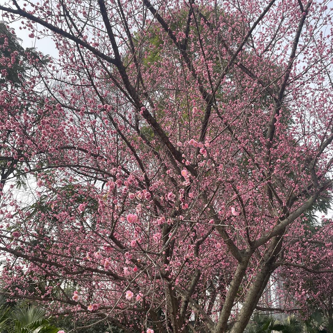 万优格百货仓