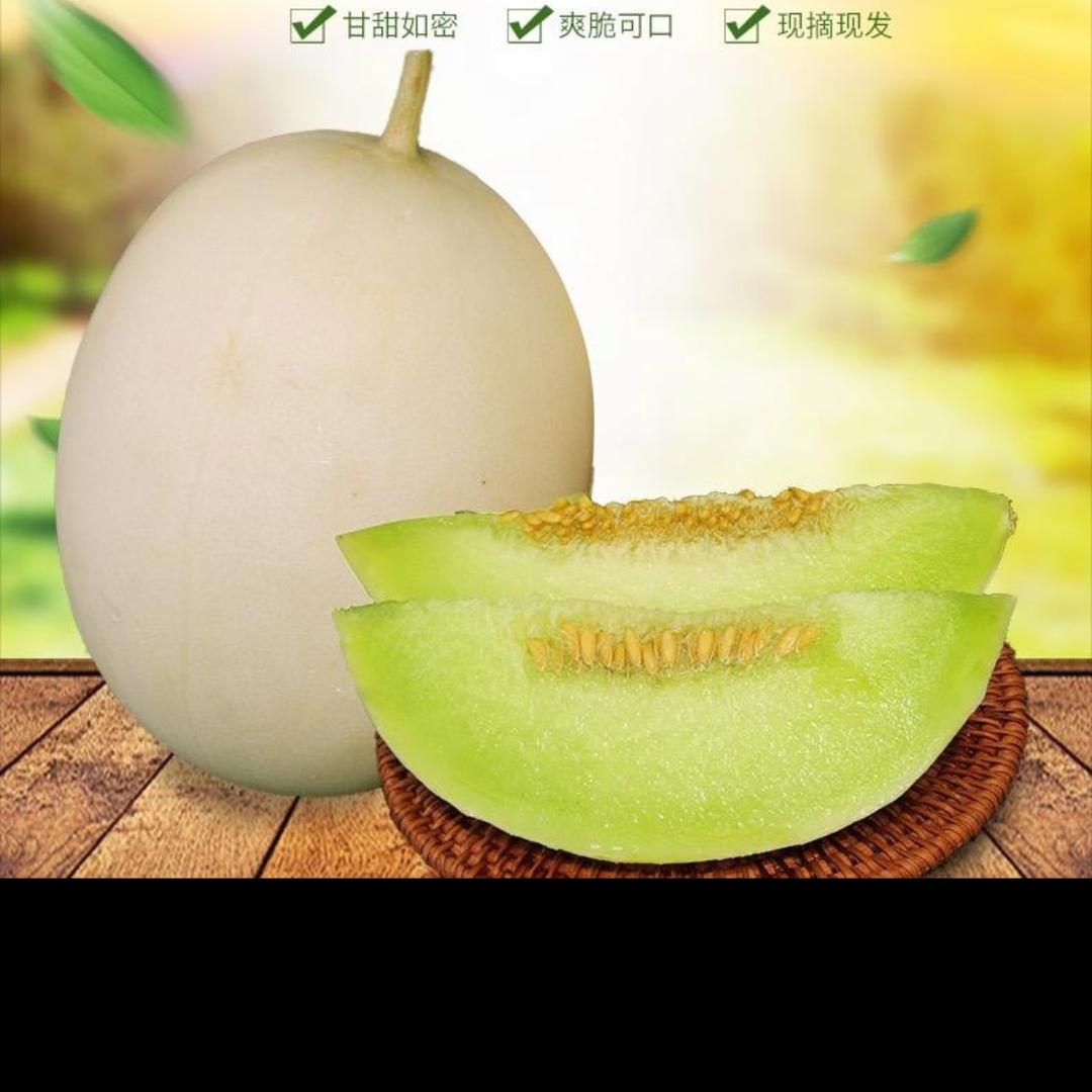 上海南汇凌兰蔬果