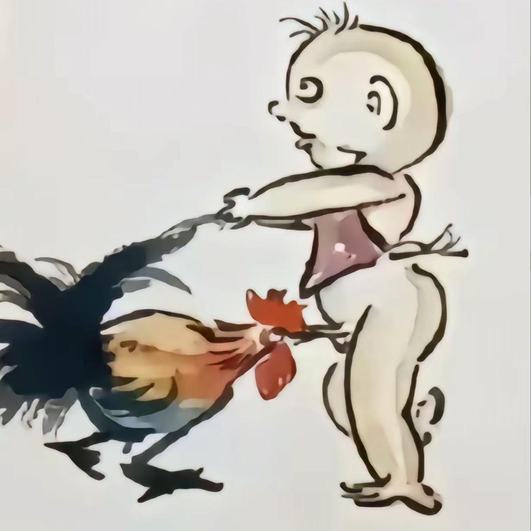 时来多肉水泡