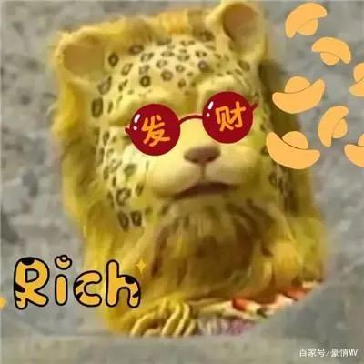 木东木东(>﹏<)