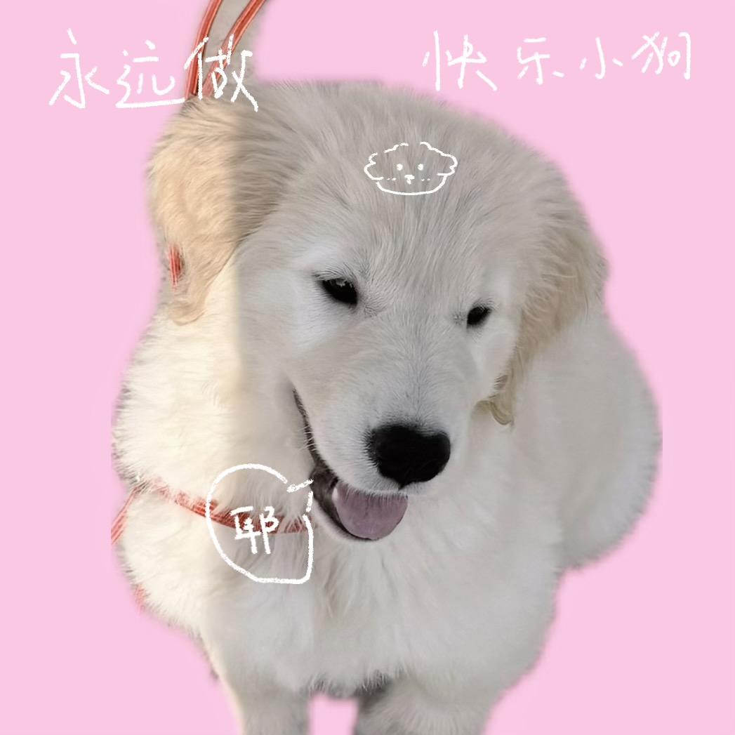 路过蜻蜓