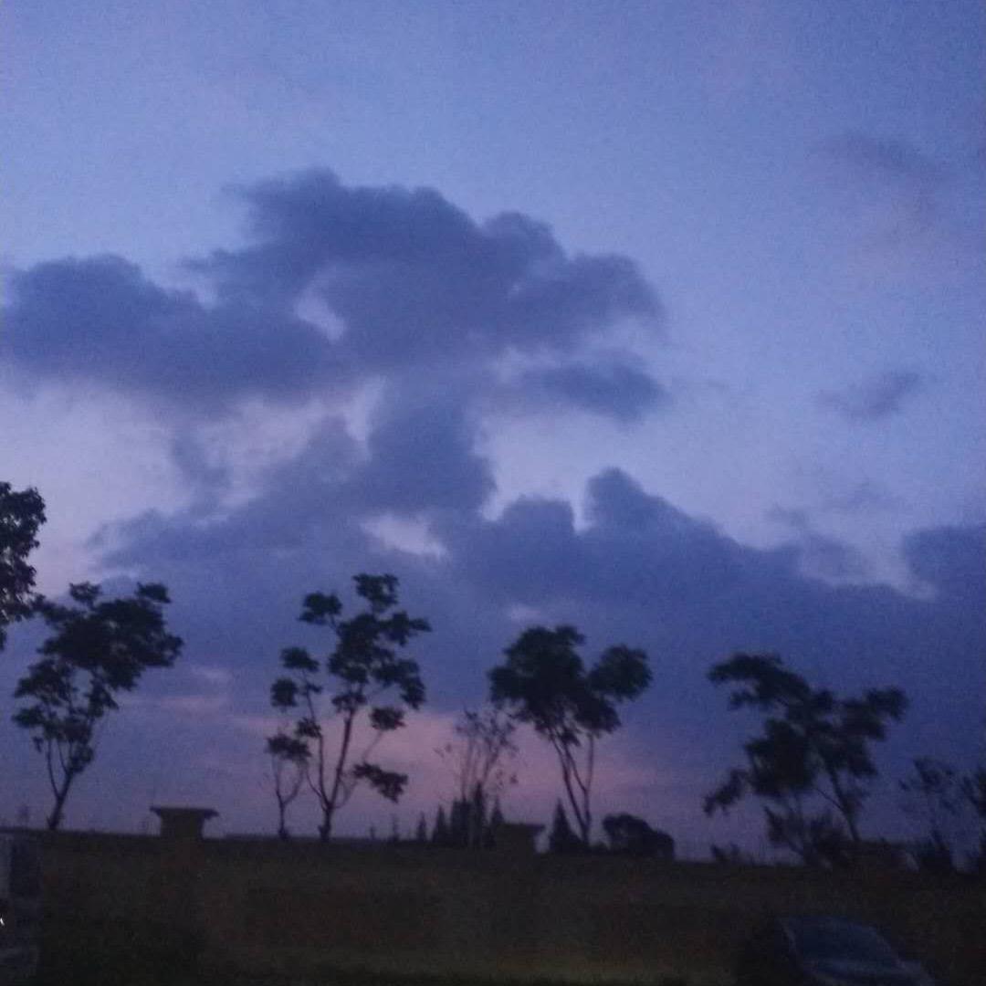 我i（三角洲行动）