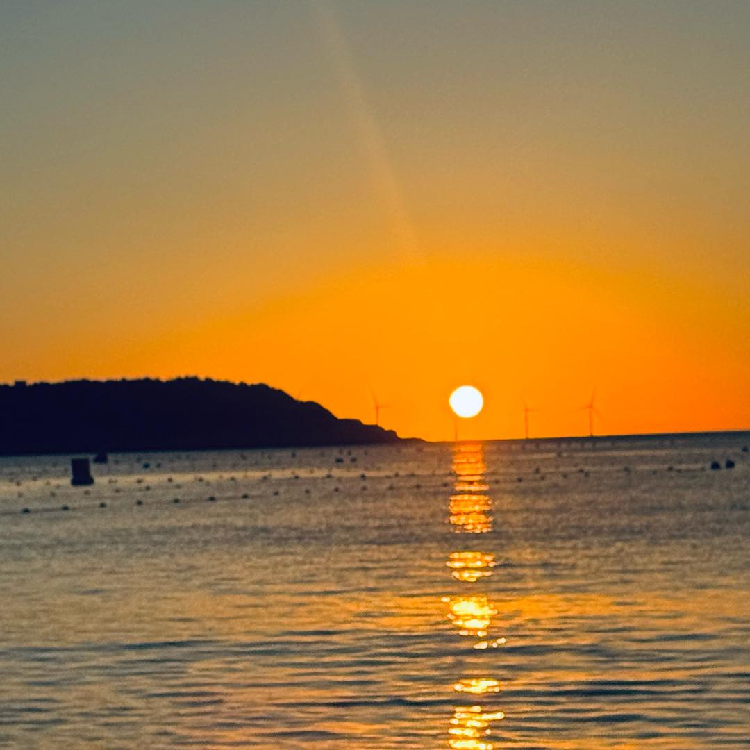 沉默不语