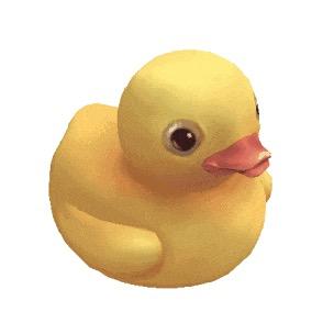 rrrrrrrr