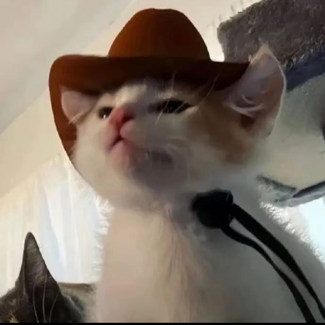 哈哈😼