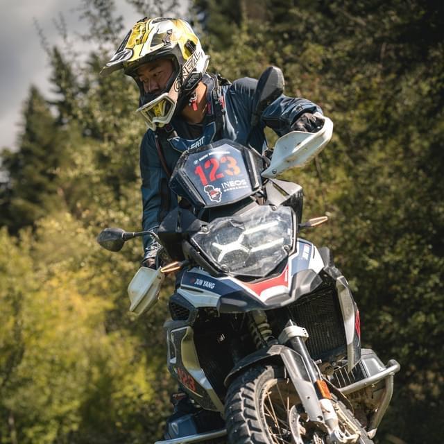 大辰翼🐉🐉🐲🐲