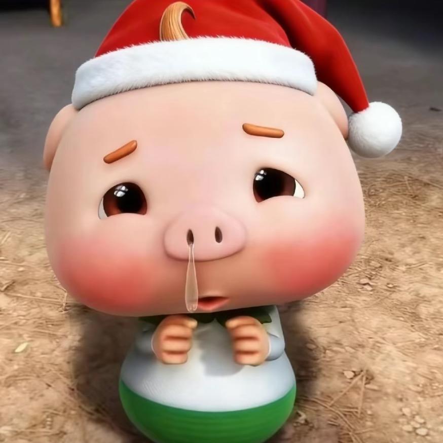 比小呆呆还呆