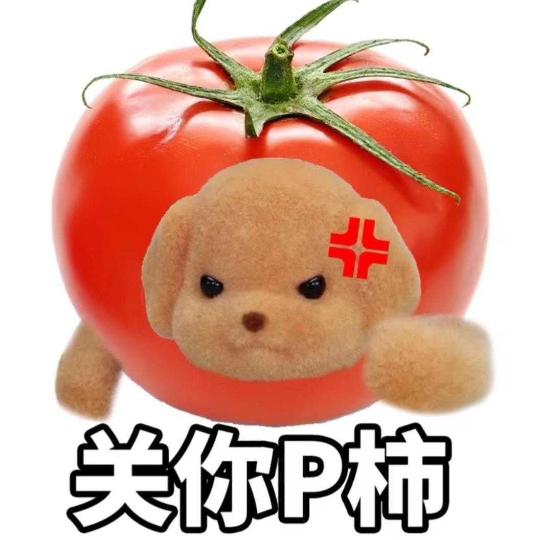 不爱🍉🍉