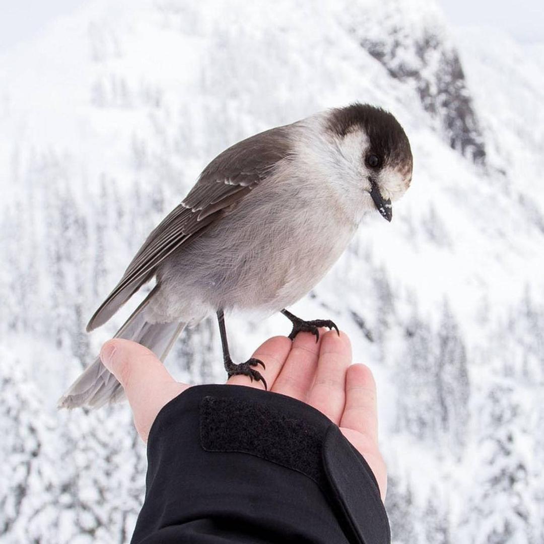 哇哦，这是个夏天～