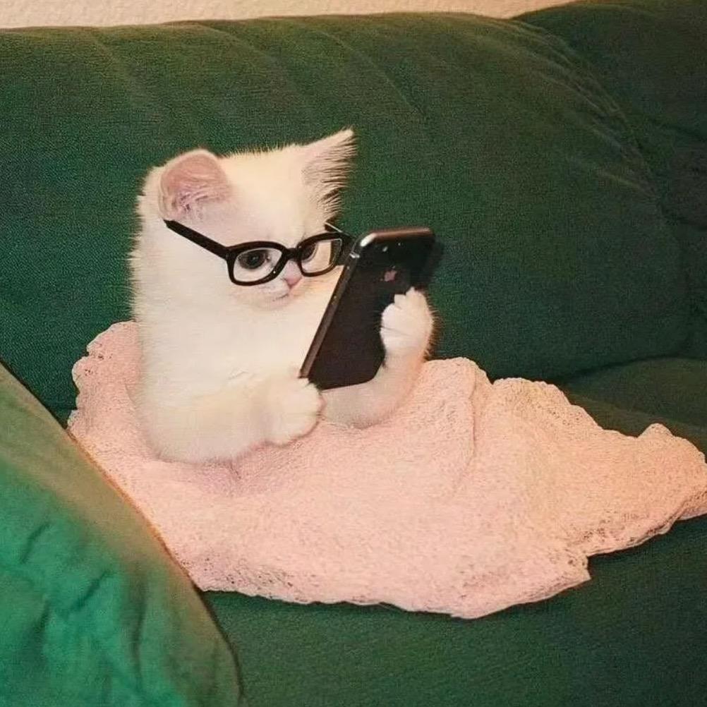 吱吱狗