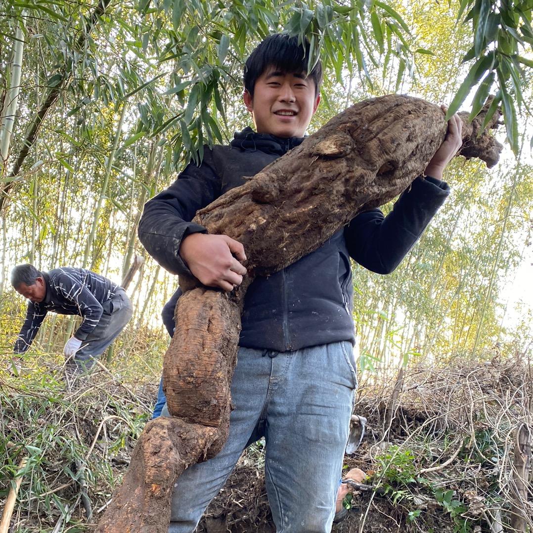 黄田阿明家土特产