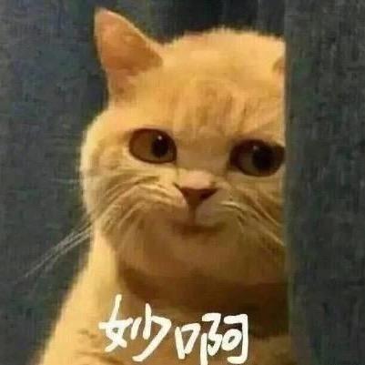 城市稻草人