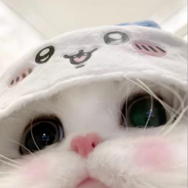 小姐