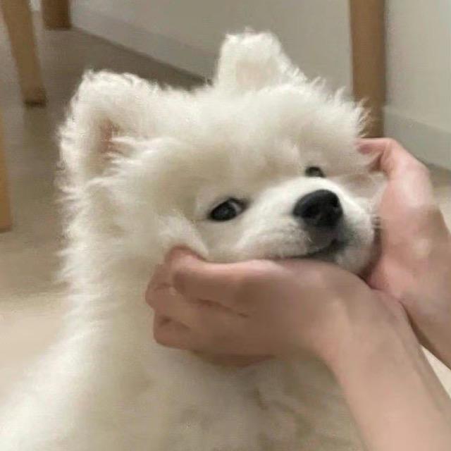 超音速小原