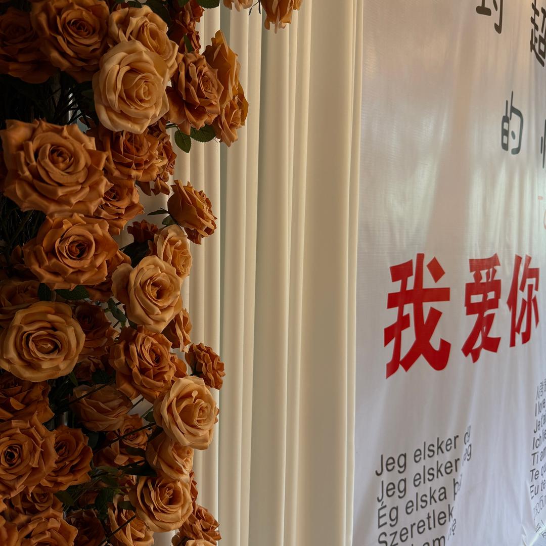 颍上恋爱博物馆-小波