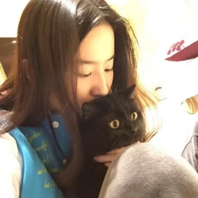 狗狗宝宝