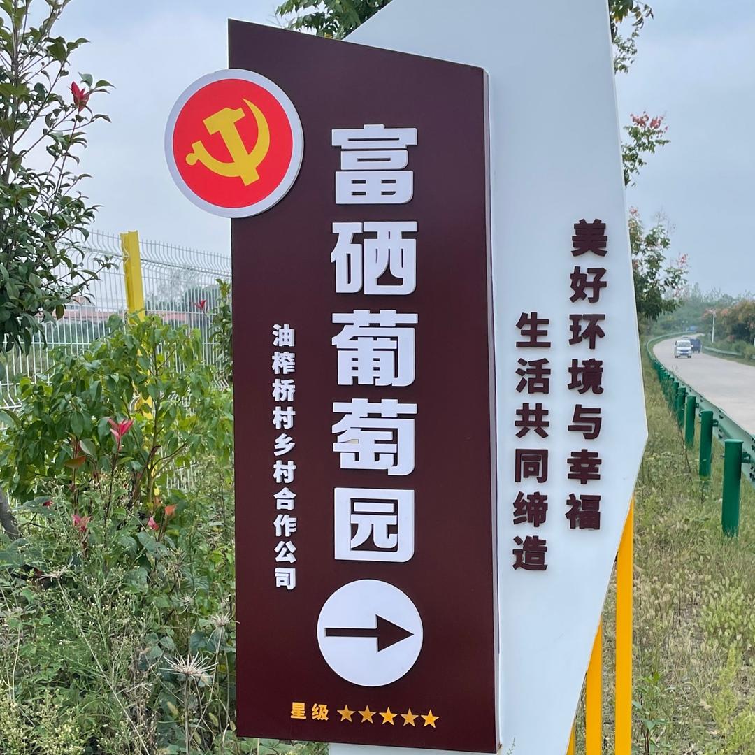 油榨桥村葡萄园-兴旺哥