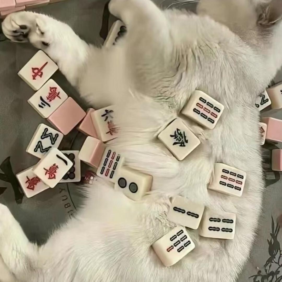 伪装