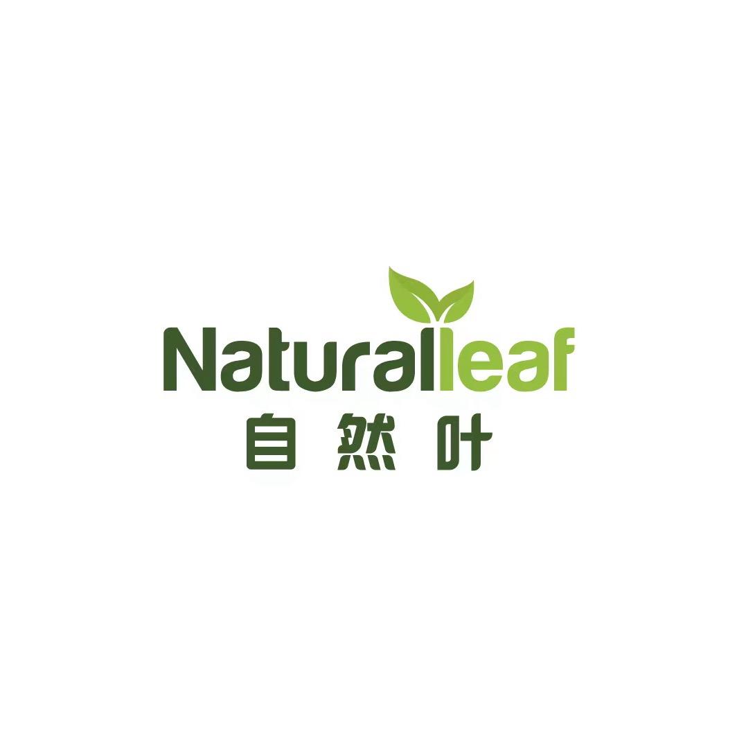 自然叶-陕西酒店布草工厂