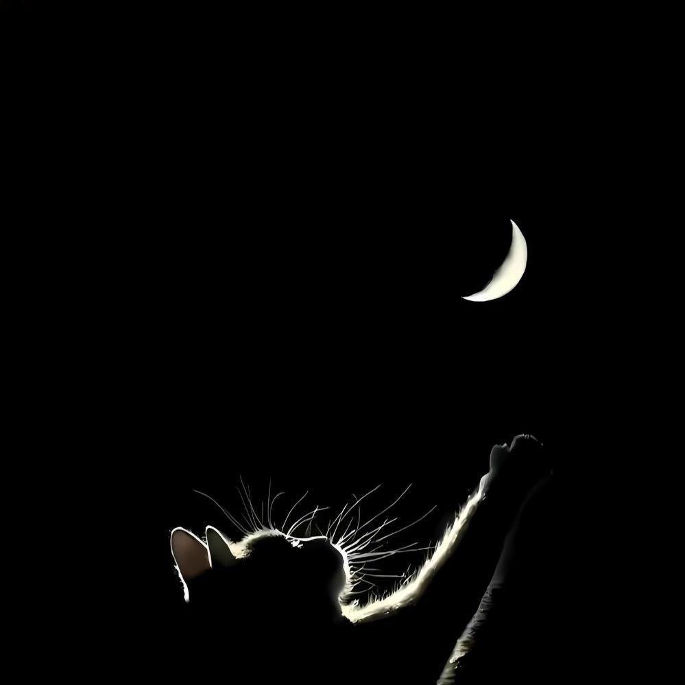 郭郭（诚信互关）