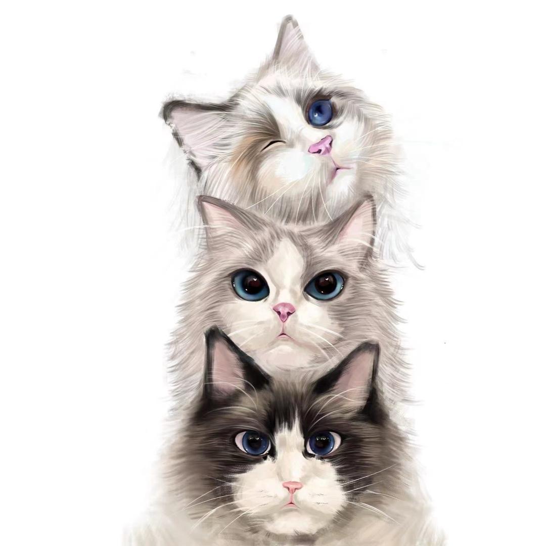 喵咔“喵喵屋”拍立得