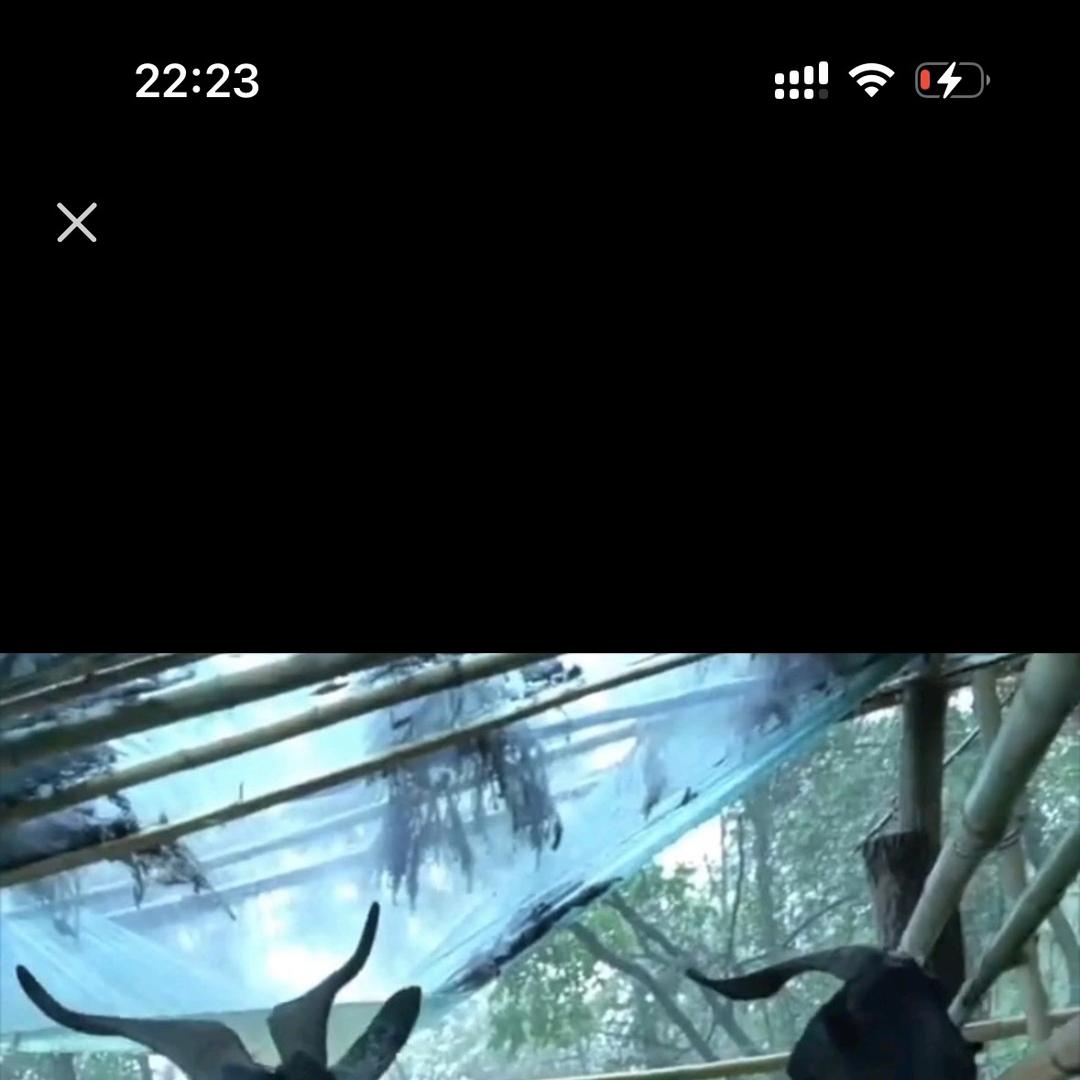 彝良县王群经营部（个体工商户）