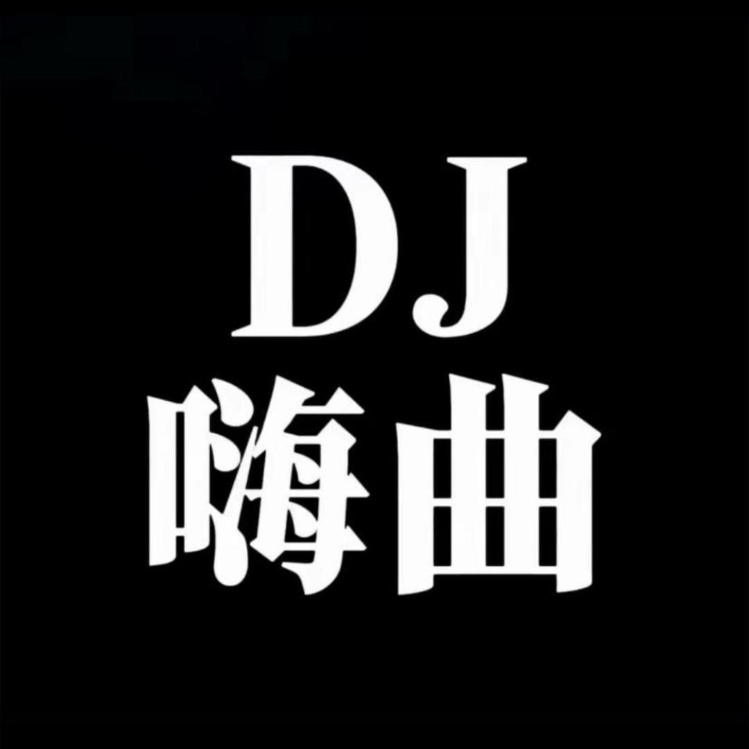 七路Dj（全视频优盘）